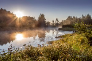 Cooperage Sungleam Small WM